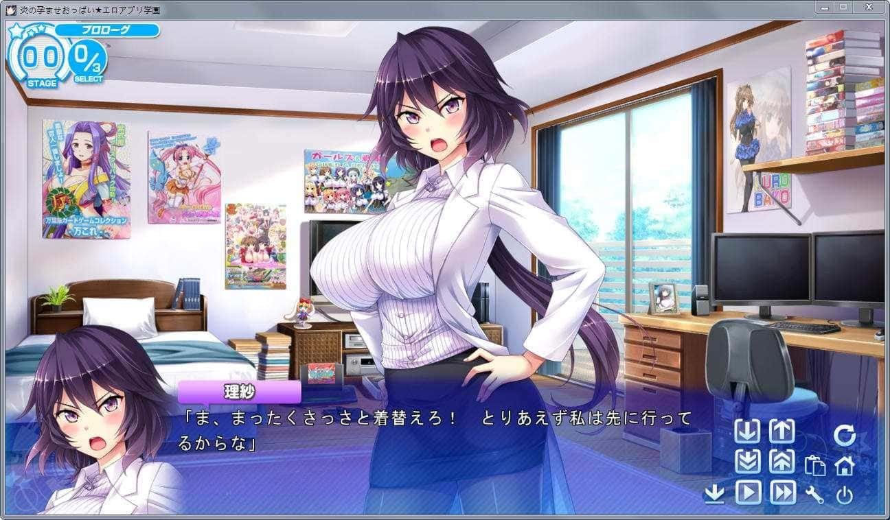 炎孕系列 剧情互动 演示图 2