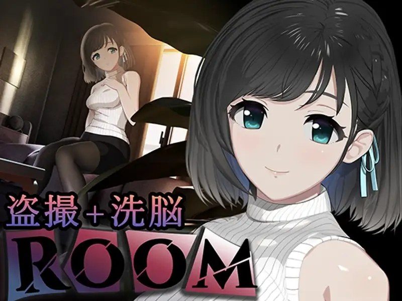 ROOM ROOM中文下载官网PC版运行入门指南 封面图